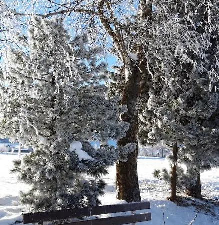 Residenz Monica 6 Apartmán Sankt Margarethen im Lungau